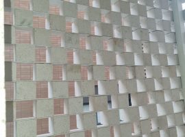 نماهای خشک و کورتکس