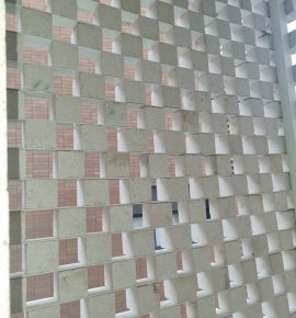 نماهای خشک و کورتکس