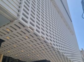 نماهای خشک و کورتکس