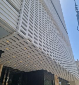 نماهای خشک و کورتکس