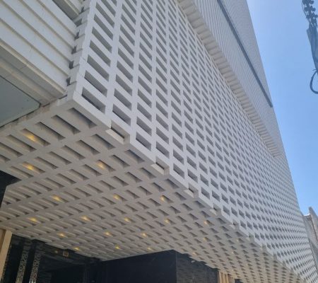 نماهای خشک و کورتکس