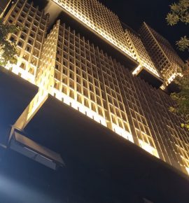 نماهای خشک و کورتکس