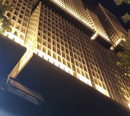نماهای خشک و کورتکس