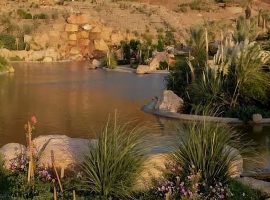 فضاهای تفریحی و گردشگری