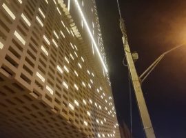 نماهای خشک و کورتکس