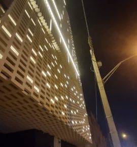 نماهای خشک و کورتکس