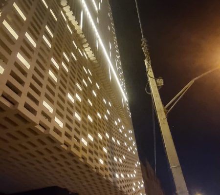 نماهای خشک و کورتکس